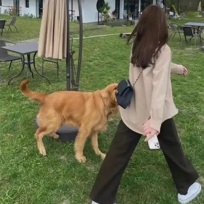 行走的幽魂